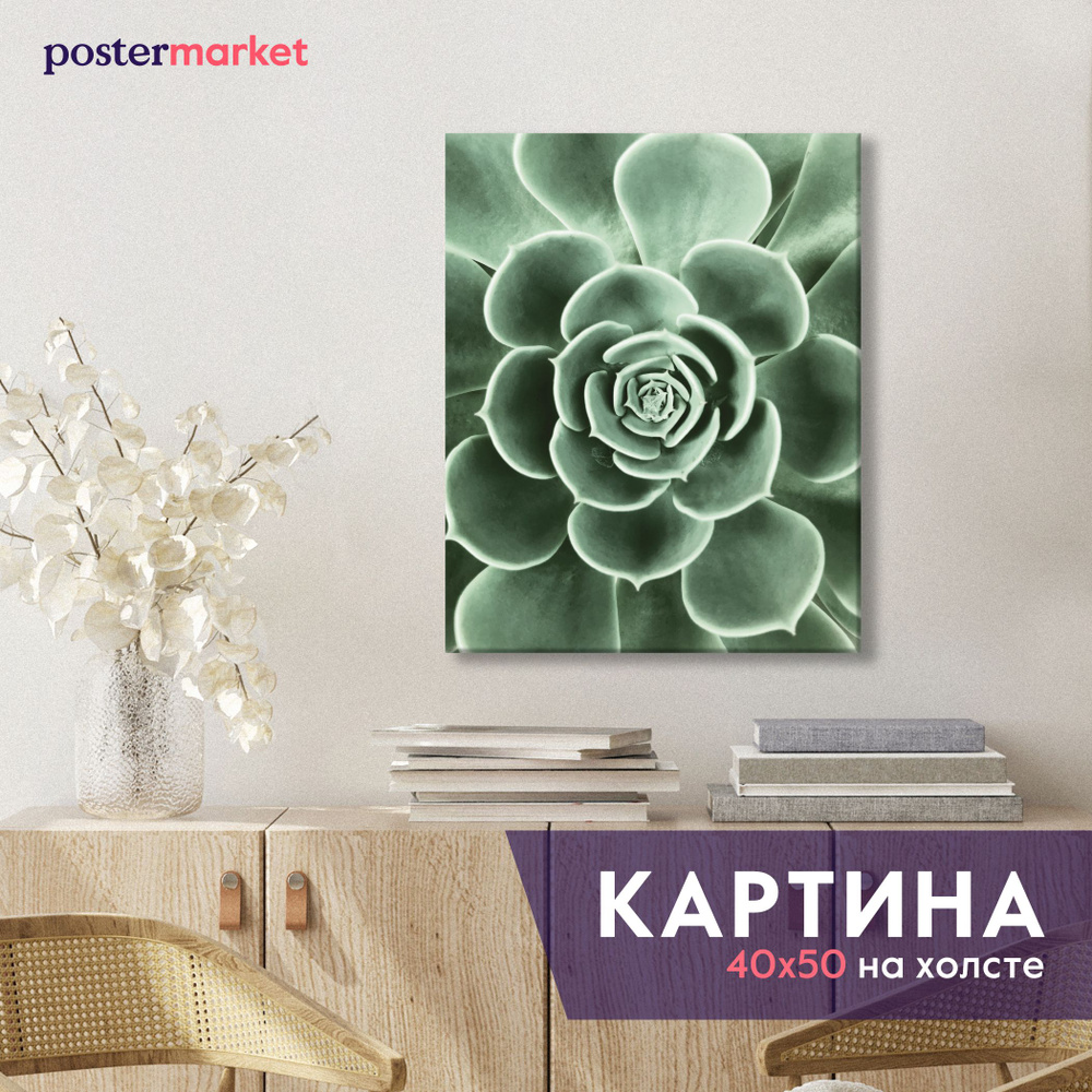 Картина на холсте Postermarket "Эхеверия", 40х50 см #1