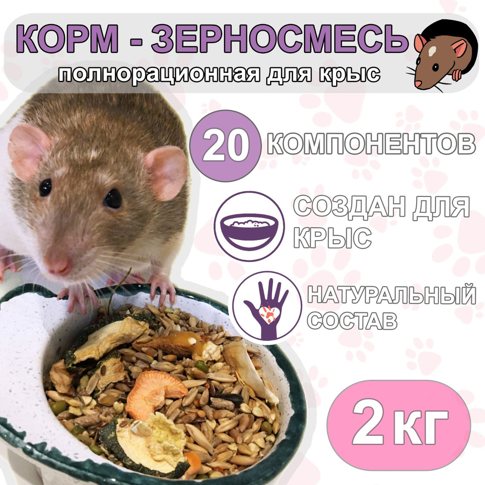 RATSY Корм - зерносмесь для крыс 2 кг #1