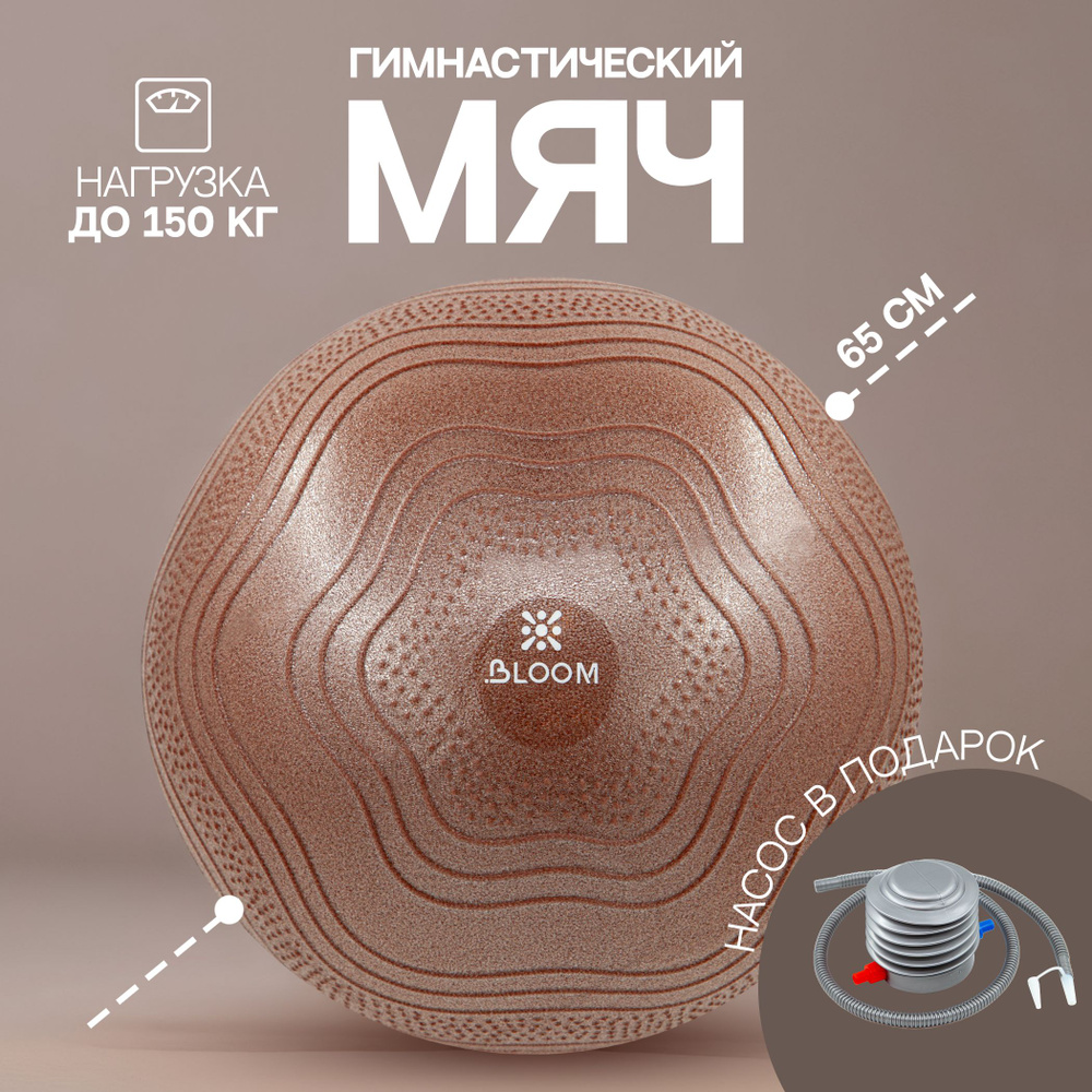 Мяч гимнастический, фитбол BLOOM 65см LB7051 #1