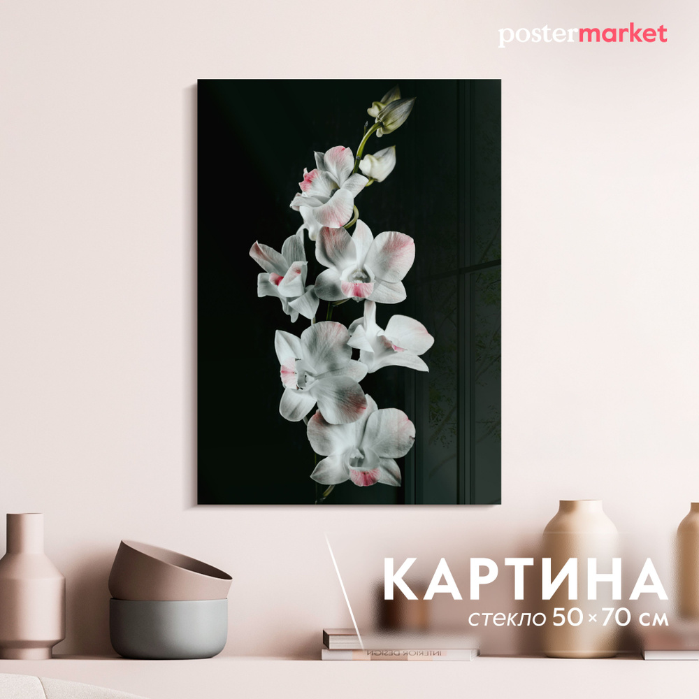 Картина на стекле Postermarket "Белая орхидея" 50х70 см #1