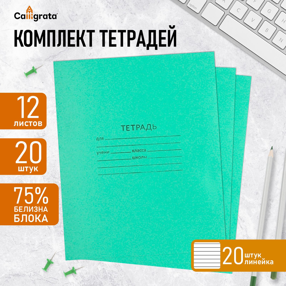 Комплект тетрадей из 20 штук, 12 листов в линию КПК "Зелёная обложка", блок №2, белизна 75% (серые листы) #1