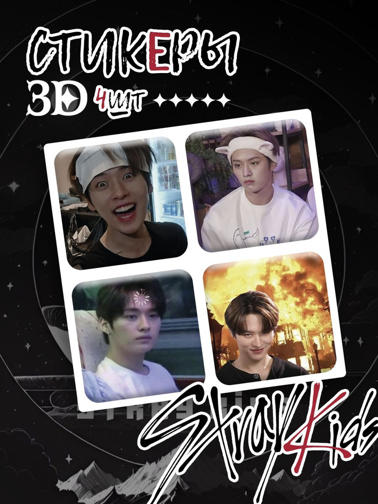 3D стикеры Stray Kids Минхо #1