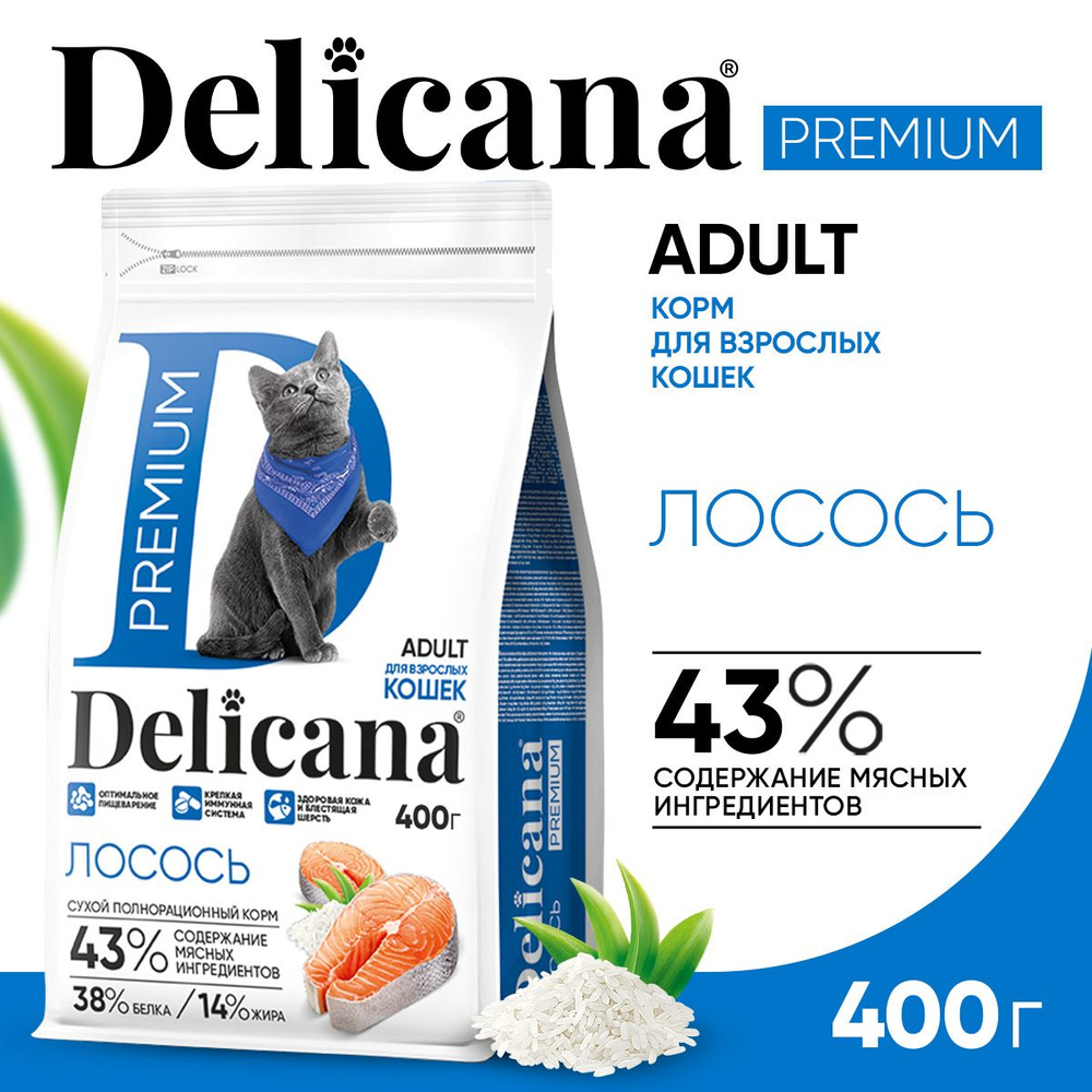 Корм сухой Delicana для Кошек Лосось 400 гр #1