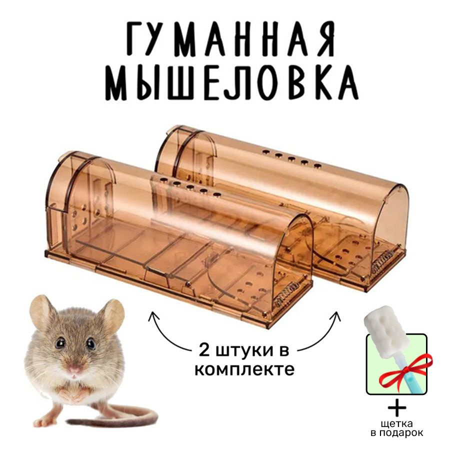 Мышеловка гуманная для мышей, пластиковая, комплект 2 штуки, коричневый цвет(+щетка для мытья)  #1