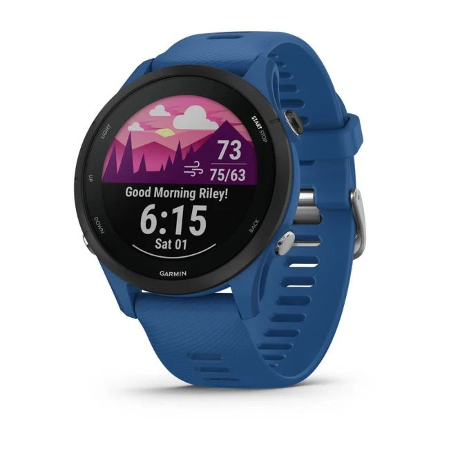 Garmin Умные часы Garmin   Forerunner 255 Tidal Blue, blue #1