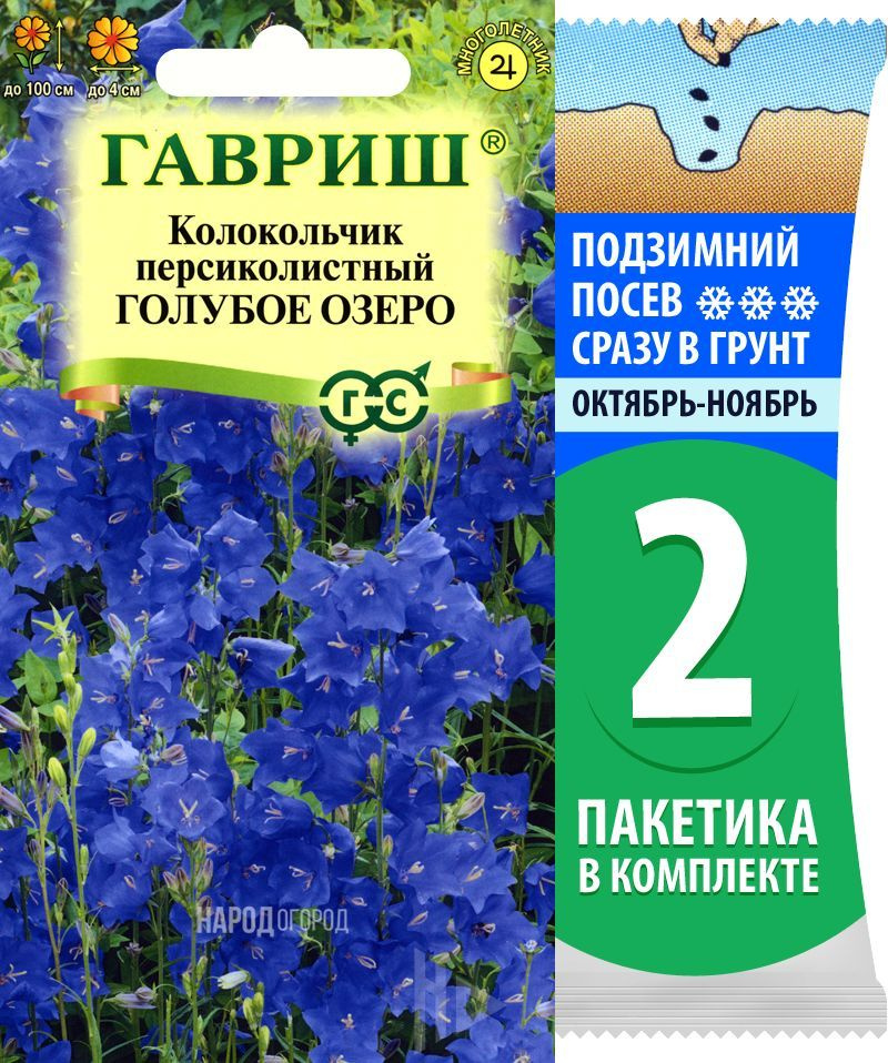 Семена Колокольчик персиколистный Голубое Озеро, 2 пакетика по 0,05г/700шт  #1