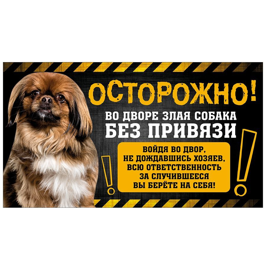 Табличка, с юмором, DANGER DOG, Осторожно! Во дворе собака без привязи, Пекинес, 25x14 см  #1