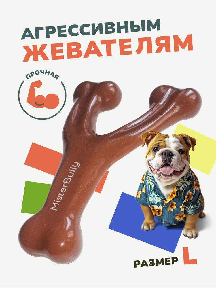 MisterBully игрушка - косточка для средних собак со вкусом говядины долгоиграющая, для чистки зубов  #1