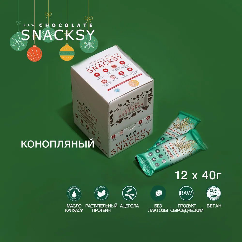 Шоу бокс из 12 Plant Protein батончиков SNACKSY RAW из ядер семян по 40 грамм / диетический, батончик #1