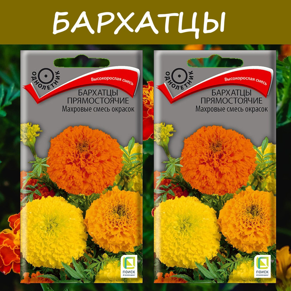 Бархатцы прямостоячие Махровые смесь окрасок, 2 упаковки, "Высокорослая смесь"  #1