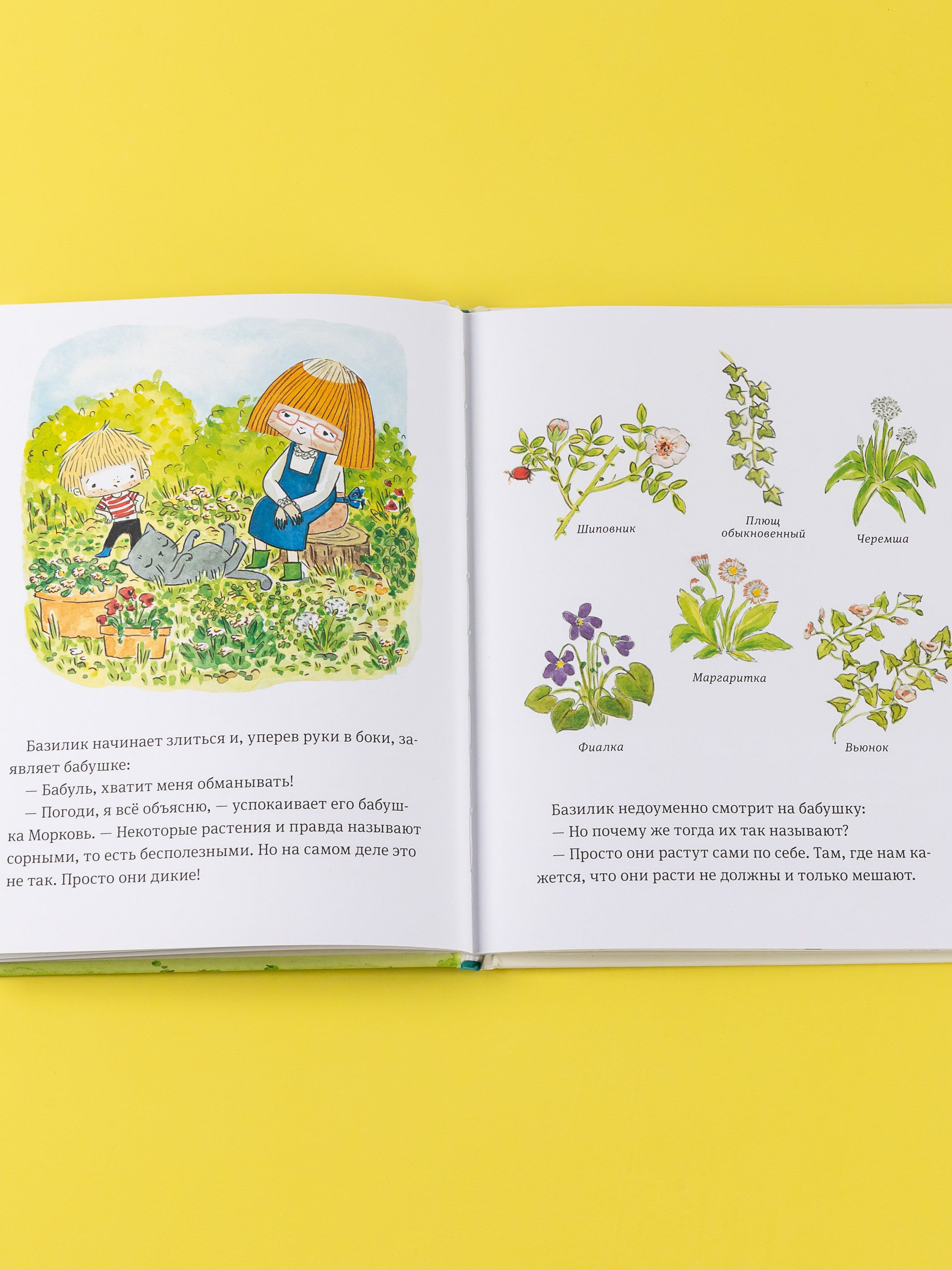 В саду Базилика. Сорняков не существует! | In Basil's Garden: Weeds Do Not Exist! - Ozon image 3