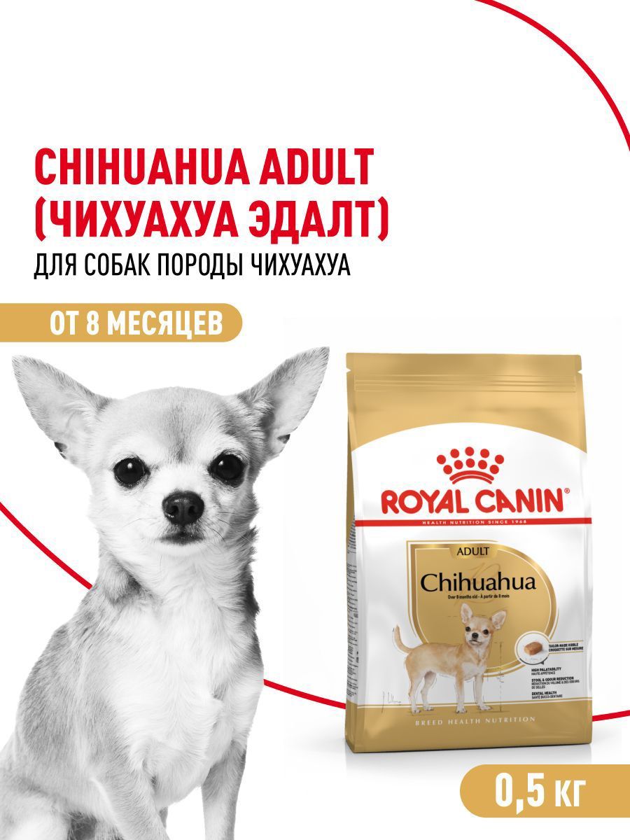 СухойкормдлясобакRoyalCaninдляпородычихуахуа,500г