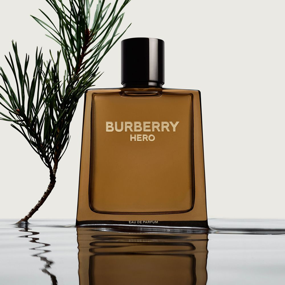 Туалетная вода мужская BURBERRY Hero, 100 мл #1