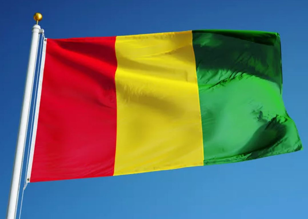 Двусторонний флаг Гвинеи 40х60 см на лодку, катер или яхту с люверсами  #1