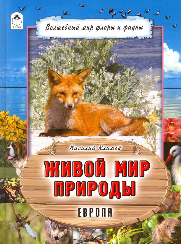 Живой мир природы. Европа | Климов Василий #1