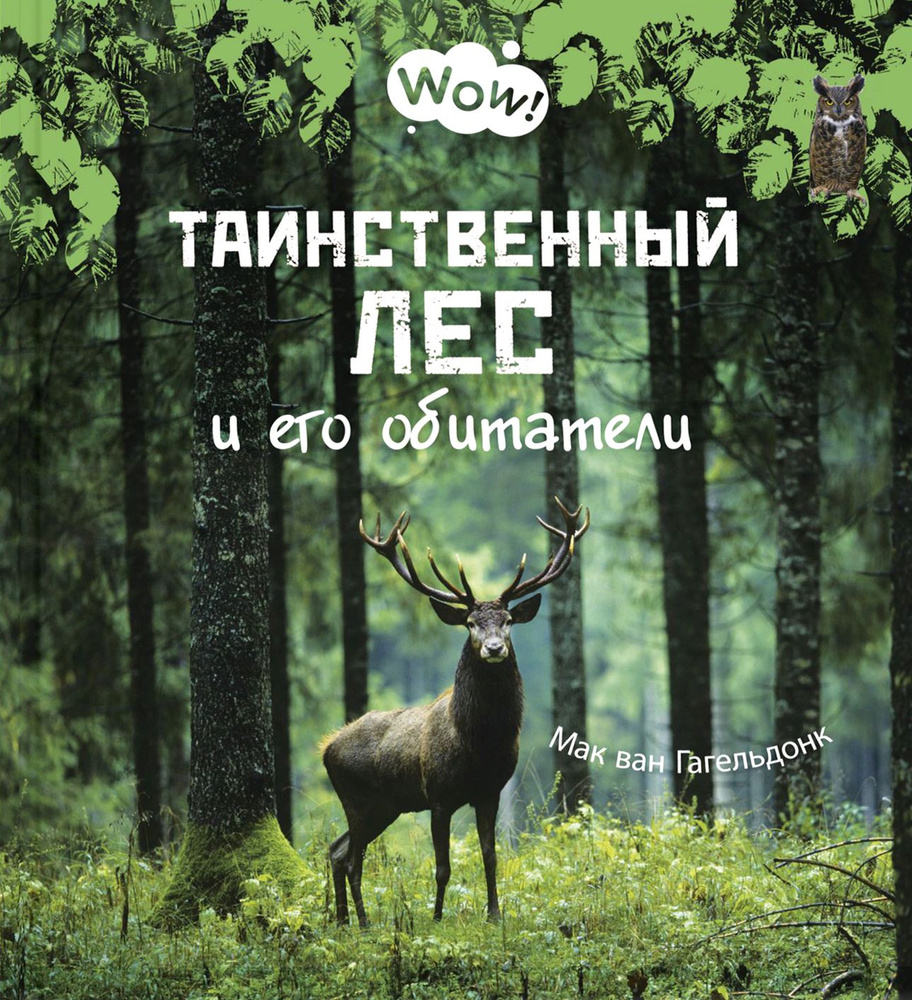 Таинственный лес и его обитатели | Мак ван Гагельдонк #1