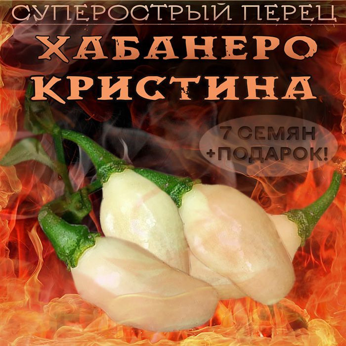 Перец острый Хабанеро Кристина Habanero Cristina семена 7 шт. + 5 шт. другого сорта в подарок  #1