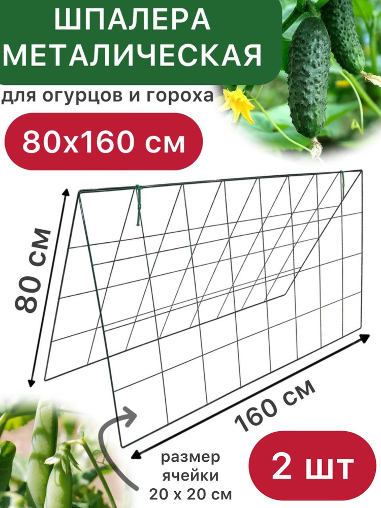 Шпалера Домик двойная, 0.8м * 1.6м опора садовая из металла для вьющихся растений, овощей, огурцов, гороха #1