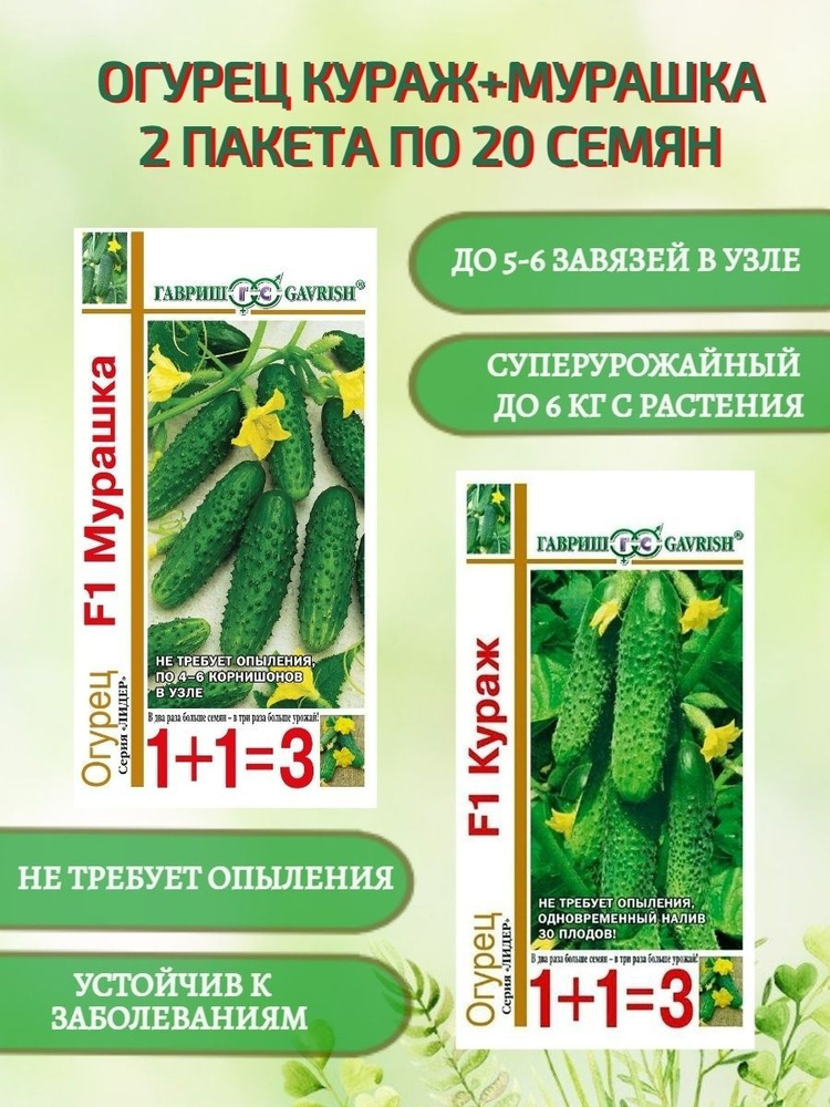 Семена Огурцов самоопыляемых Кураж + Мурашка для теплицы и открытого грунта  #1
