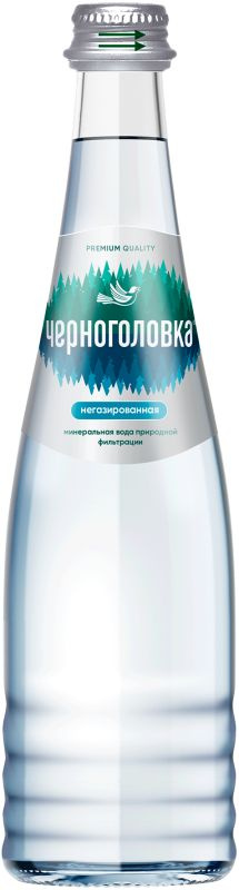 Вода негазированная минеральная "ЧЕРНОГОЛОВСКАЯ", 0,33 л, стеклянная бутылка - 12 шт  #1