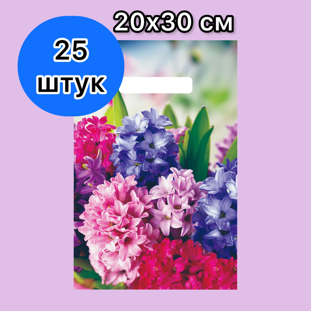 Подарочные пакеты маленькие 25 шт набор "Гиацинт", 20х30 см, для женских подарков в детский сад, в школу, #1