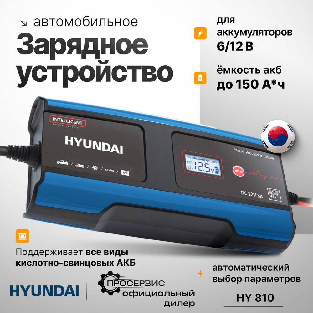 Авто зарядное устройство Hyundai НY 810 (для АКБ 6/12 В, 150 Ач), зарядка  для автомобильного аккумулятора - купить с доставкой по выгодным ценам в  интернет-магазине OZON (356882217)