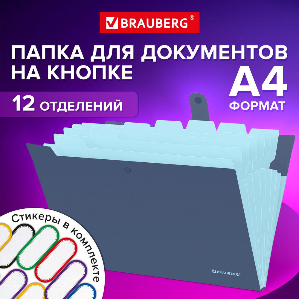 Brauberg Папка, 4 шт. #1