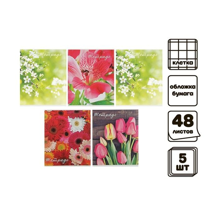 Комплект тетрадей из 5 штук (4 разные + 1 повторяющаяся), 48 листов, клетка, Цветы, обложка мелованная #1