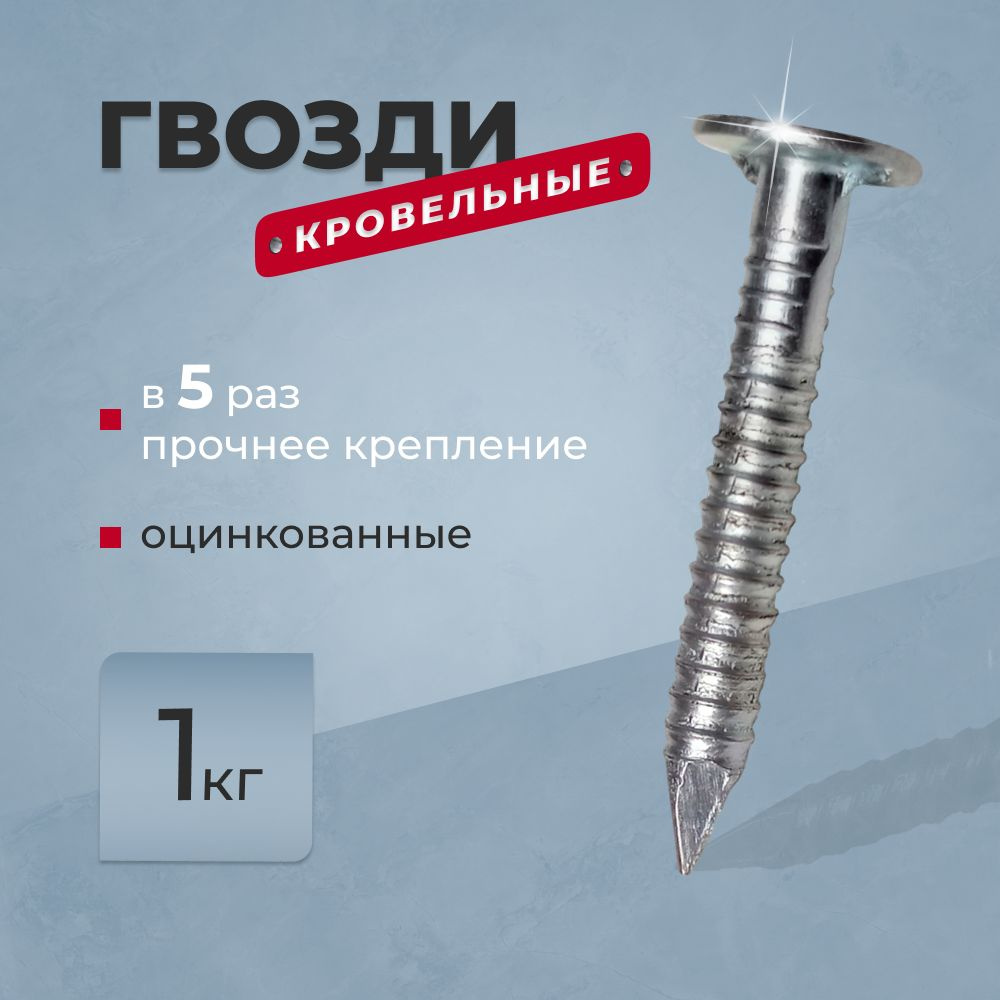 ТЕХНОНИКОЛЬ Гвозди 3.5 x 30 мм  380 шт  1 кг  #1