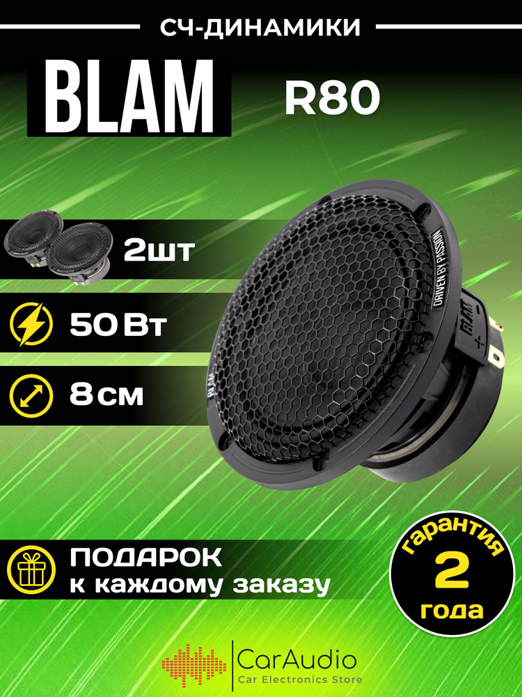 Акустическая система BLAM R80 среднечастотные динамики 8см./комплект 2шт.  #1