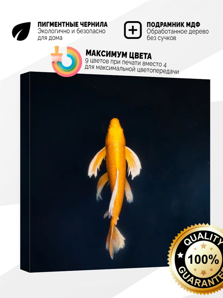Картина на холсте 40x40 Золотая рыбка #1