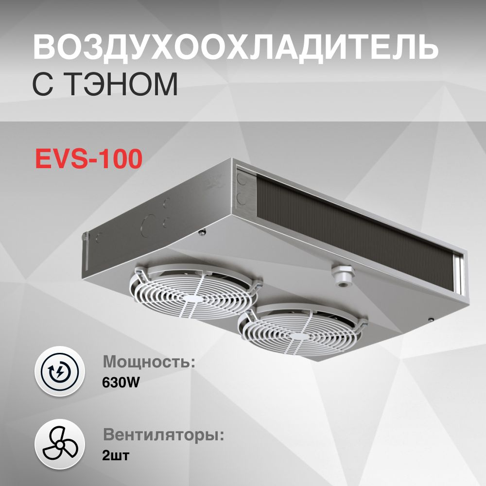 Воздухоохладитель EVS-100 с тэном 2 вентилятора 630W #1