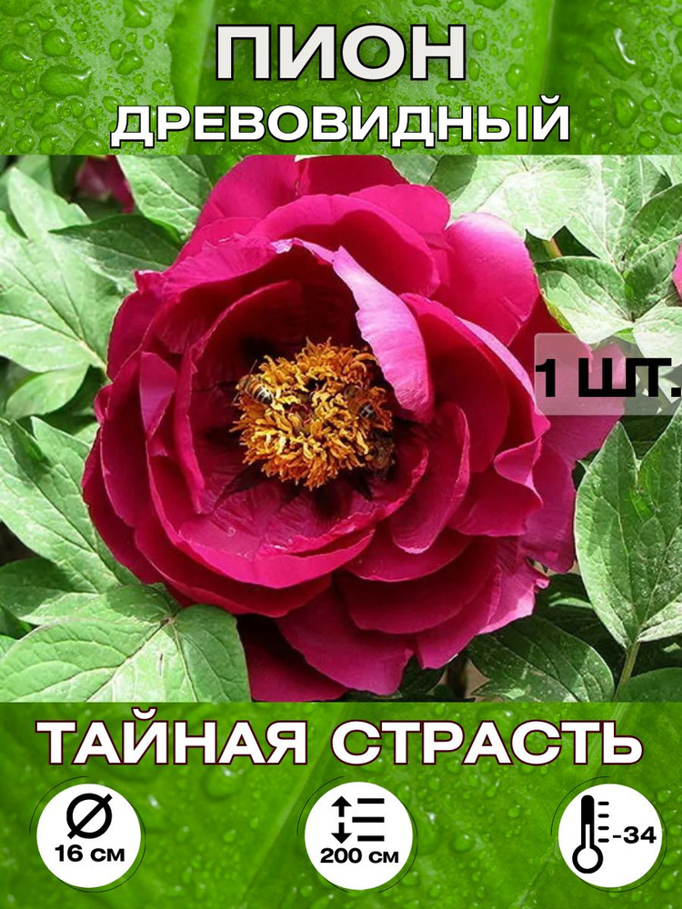 Magic Blooming Garden Семена ,1шт #1