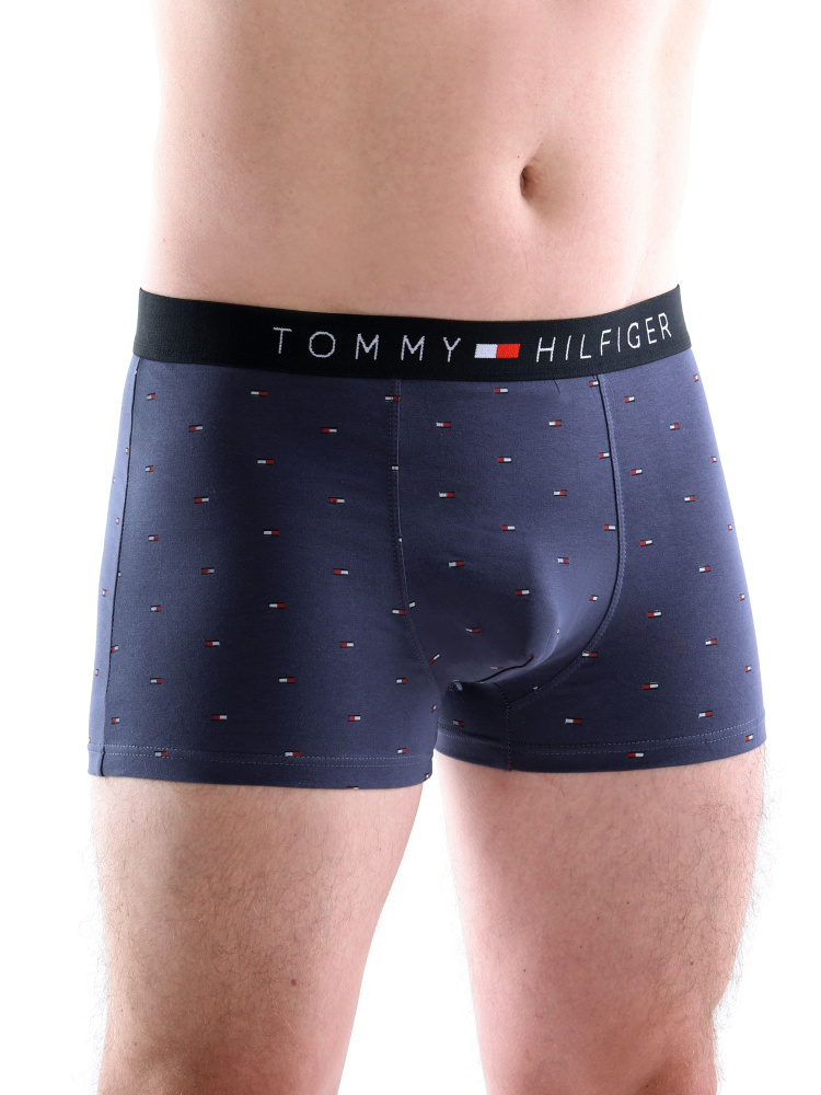 Трусы боксеры Tommy Hilfiger, 1 шт #1