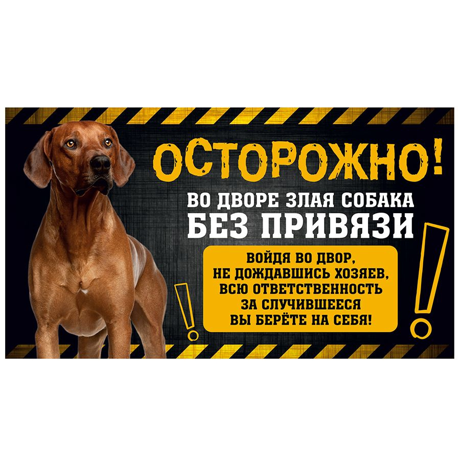 Табличка, с юмором, DANGER DOG, Осторожно! Во дворе собака без привязи, Родезийский риджбек, 25x14 см #1