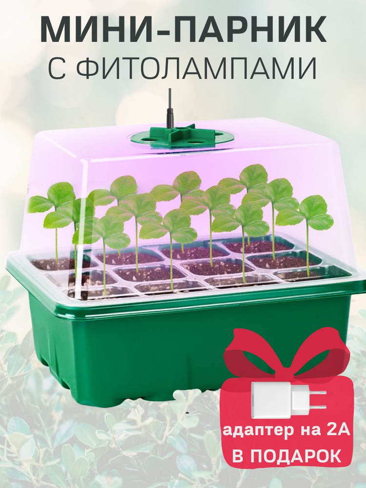 Мини-парник на подоконник с фитолампой и адаптером для проращивания рассады и микрозелени  #1