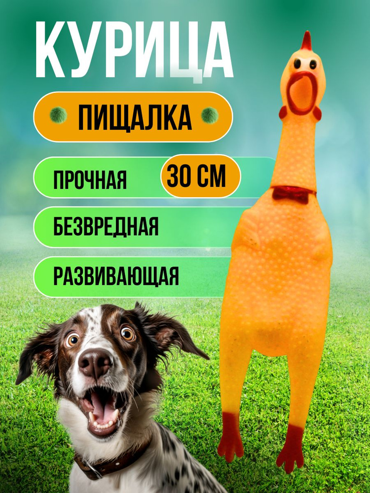 Игрушка для собак и щенков кричащая курица с пищалкой / Развивающая игрушка антистресс для средних пород #1