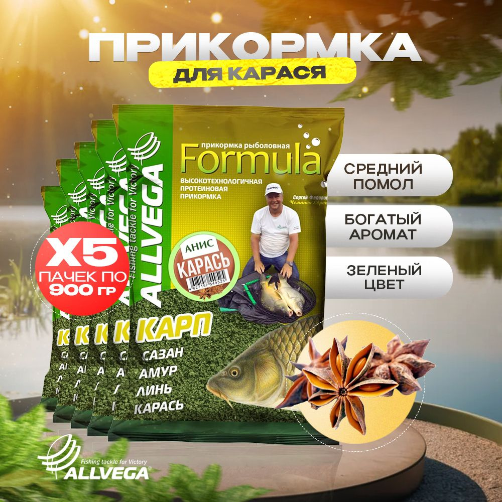 Прикормка для рыбалки на карася ALLVEGA Formula АНИС 5 пачек #1