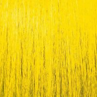 Wild Color Direct Color Yellow Желтый Биоламинирование для волос, 180мл  #1