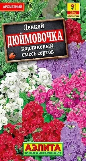 Семена Левкой карликовый Дюймовочка, смесь сортов (0,1 г) - Агрофирма Аэлита  #1