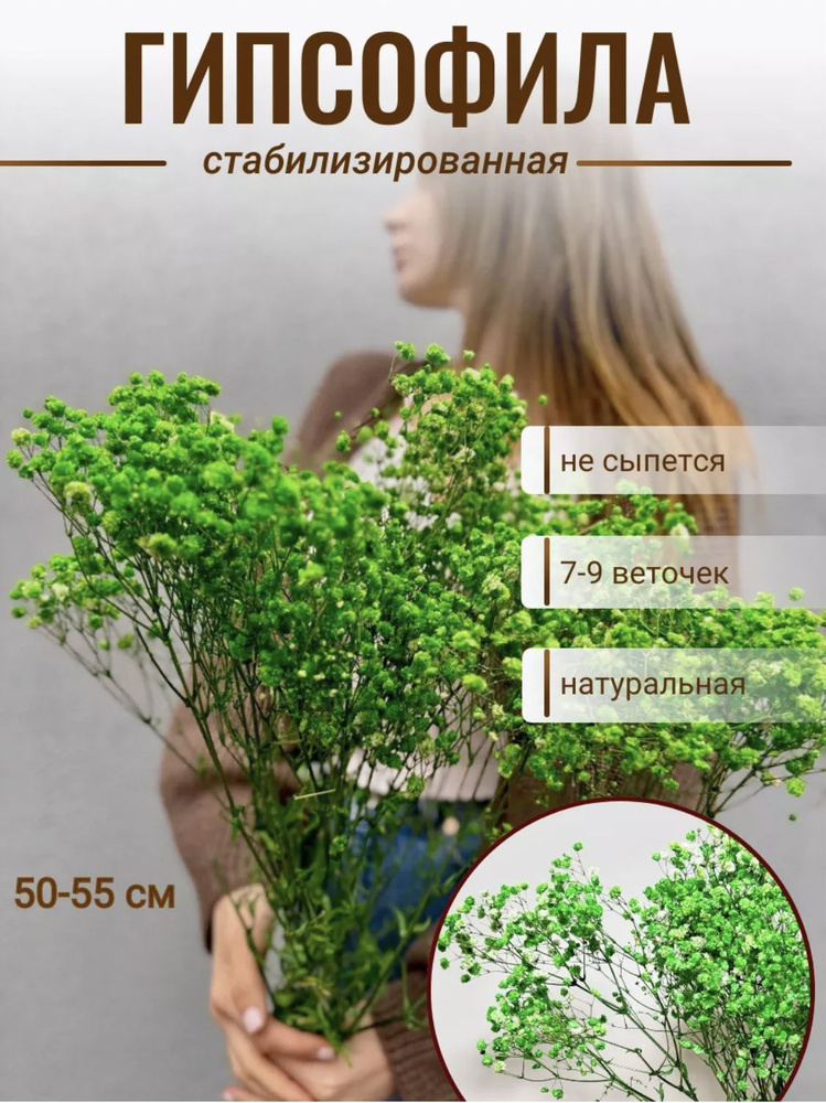 plombir shop Стабилизированные цветы Гипсофила, 50 см, 9 шт #1