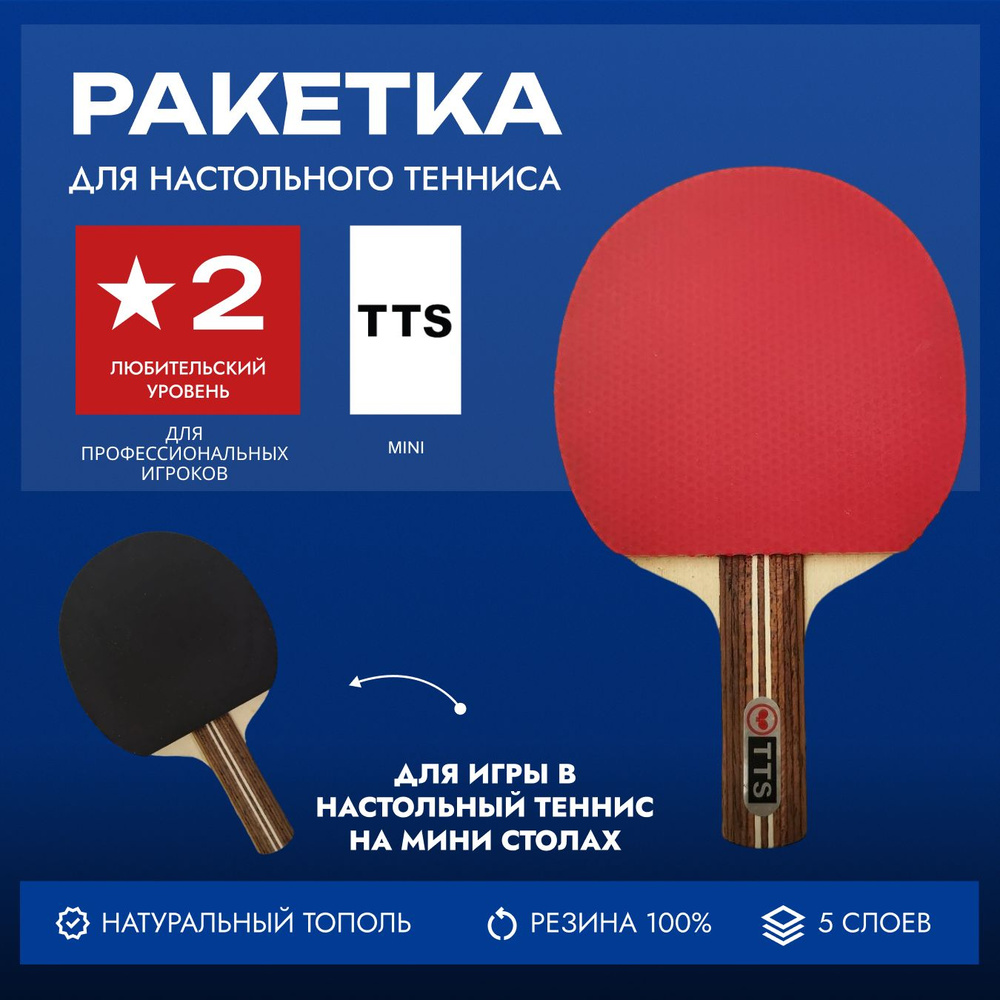 Ракетка для настольного тенниса TTS Mini #1