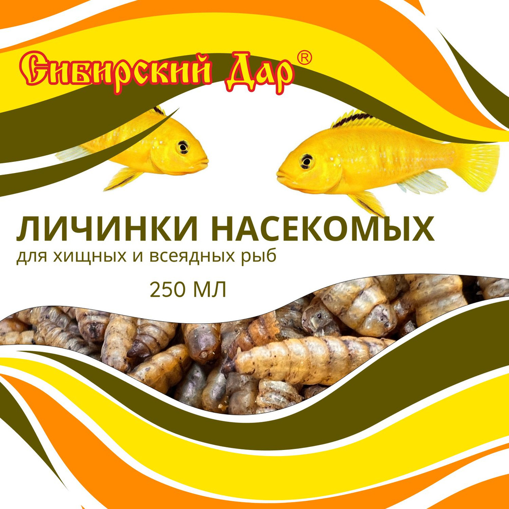 Корм для рыб "Сибирский дар" - личинки насекомых, 250 мл - для хищных и всеядных рыб всех размеров и #1