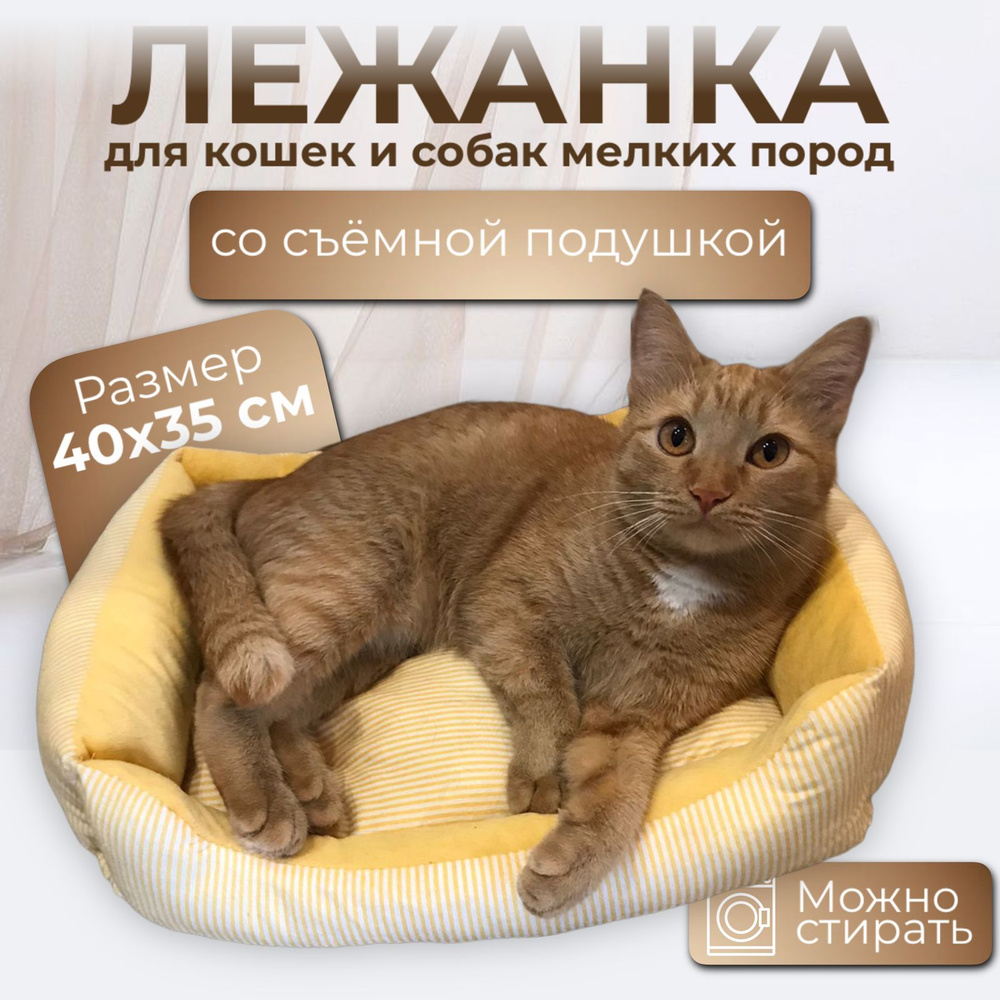 Лежанка для кошек и собак мелких пород, со съемным матрасом и бортиками,40х35 см  #1