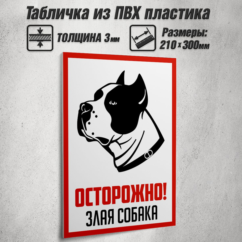 Информационная табличка "Осторожно! Злая собака" / 21x30 см.  #1