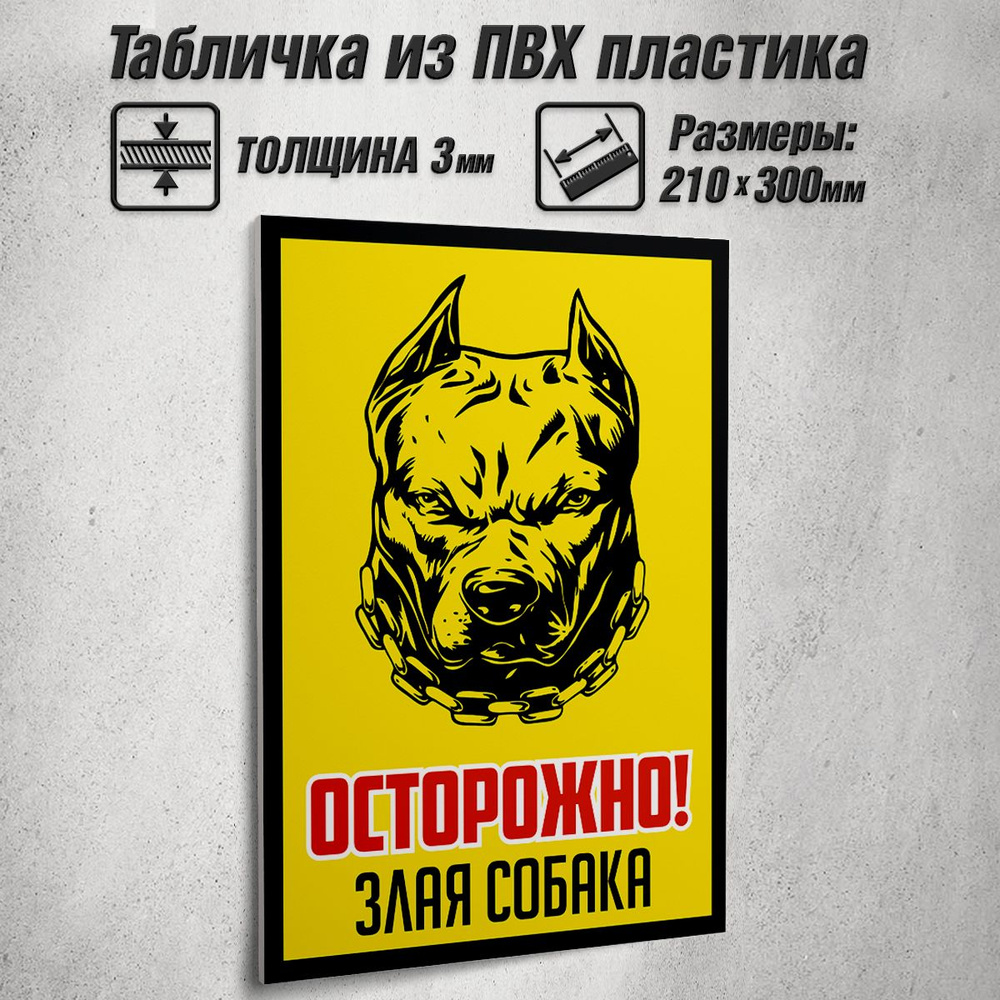 Информационная табличка "Осторожно! Злая собака" / 21x30 см.  #1