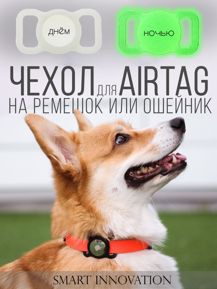 Силиконовый защитный чехол с креплением на ошейник животных для трекера Apple AirTag, Anti-lost Pet Dog #1