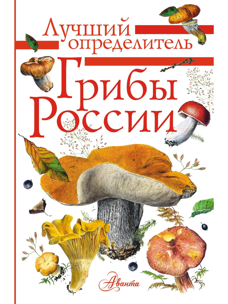 Грибы России. Определитель | Кривошеев Станислав Владимирович  #1