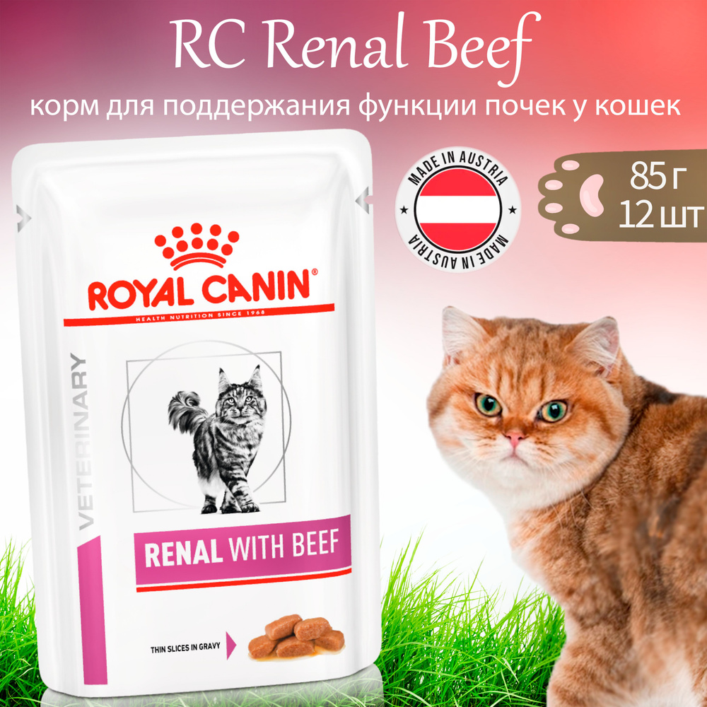 Royal Canin Renal Beef 85г * 12шт влажный корм (в соусе) для кошек для поддержания функции почек, с говядиной #1