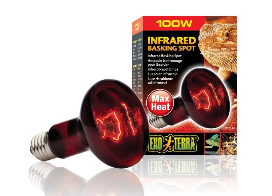 Лампа инфракрасная Exo Terra Infrared Basking Spot, 100 W #1